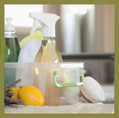 Healthy Home Products